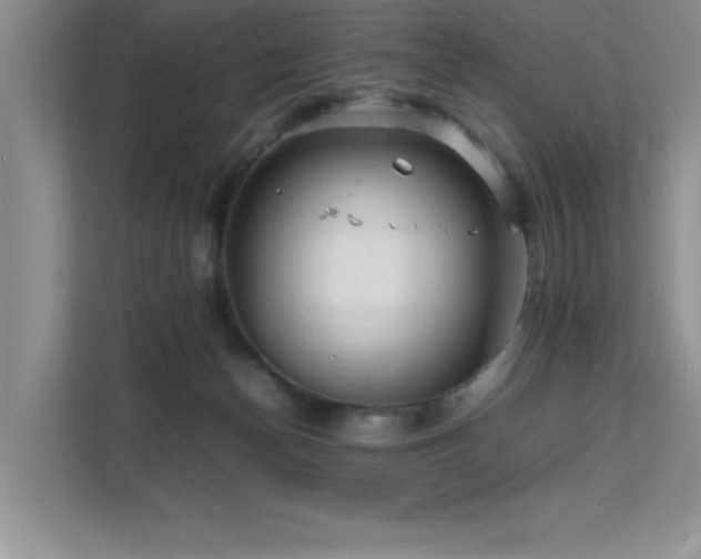 X0000112150174200908071123