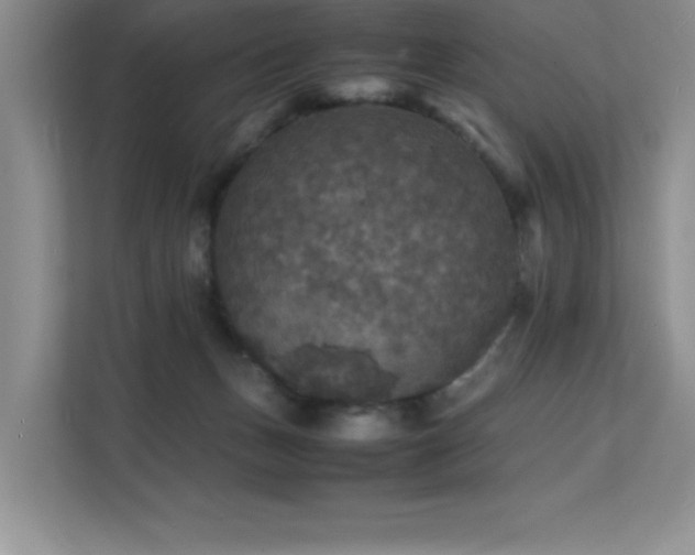 X0000112150175200908071123