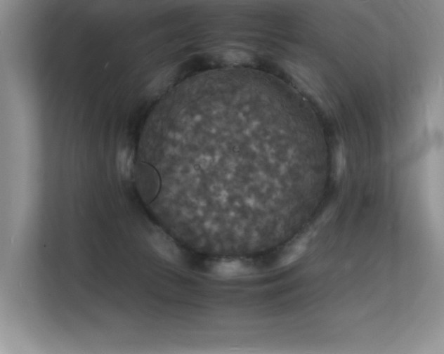 X0000112150177200908071123