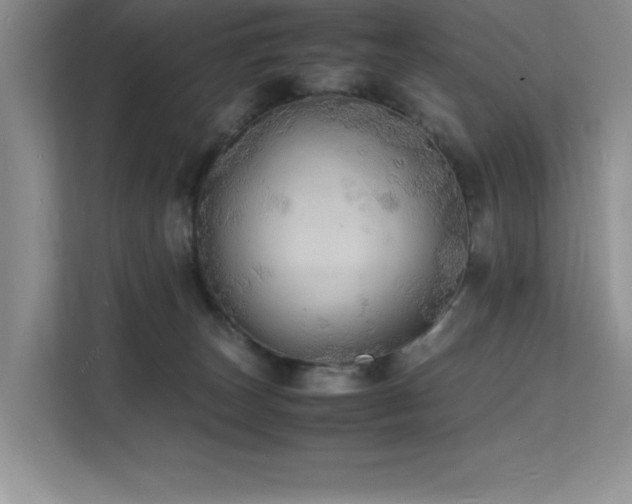 X0000112150179200908071123