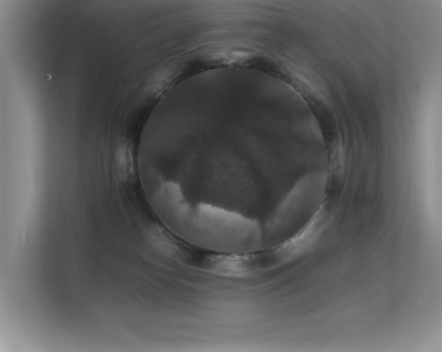X0000112150182200908071123