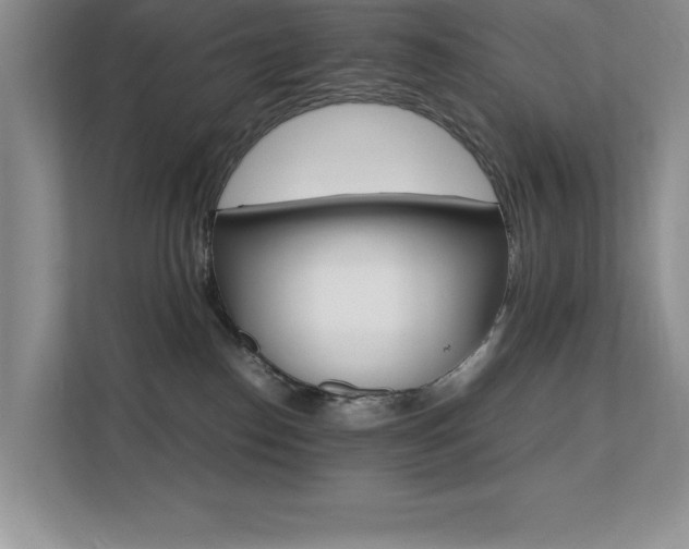 X0000112150186200908071123