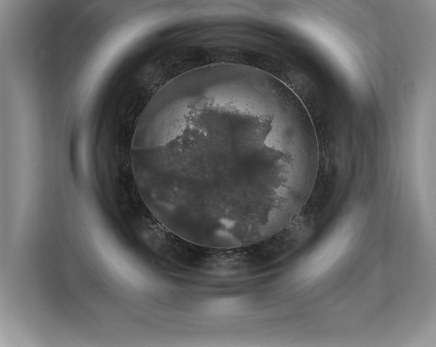 X0000112150189200908071123