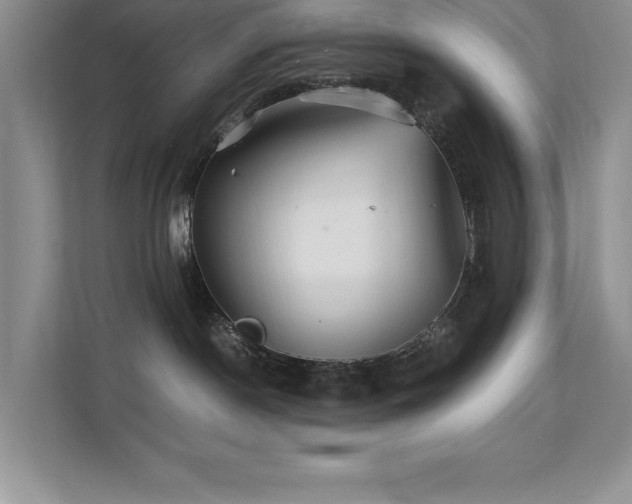 X0000112150190200908071123