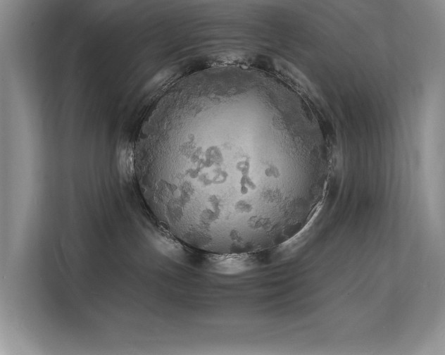 X0000112150191200908071123