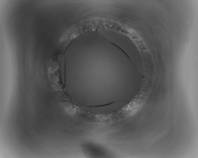 X0000112150192200908071123