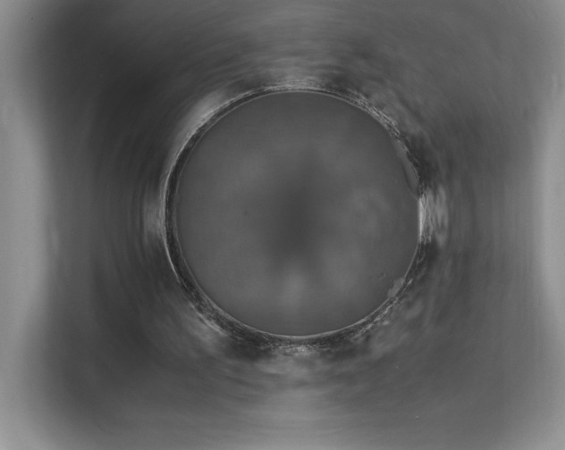 X0000112150195200908071123