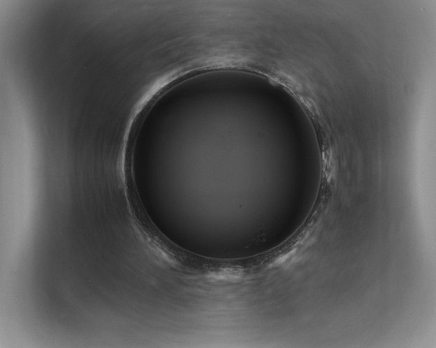 X0000112150196200908071123