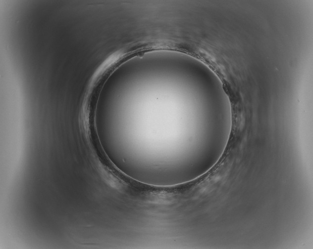 X0000112150197200908071123