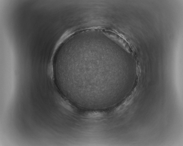 X0000112150198200908071123
