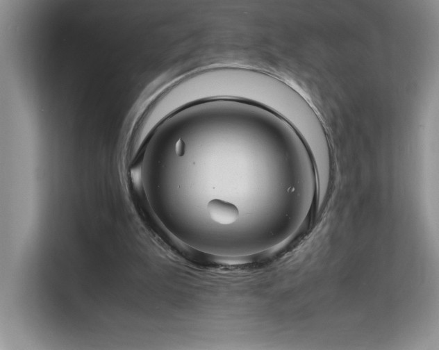 X0000112150199200908071123