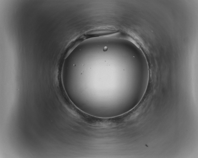 X0000112150201200908071123