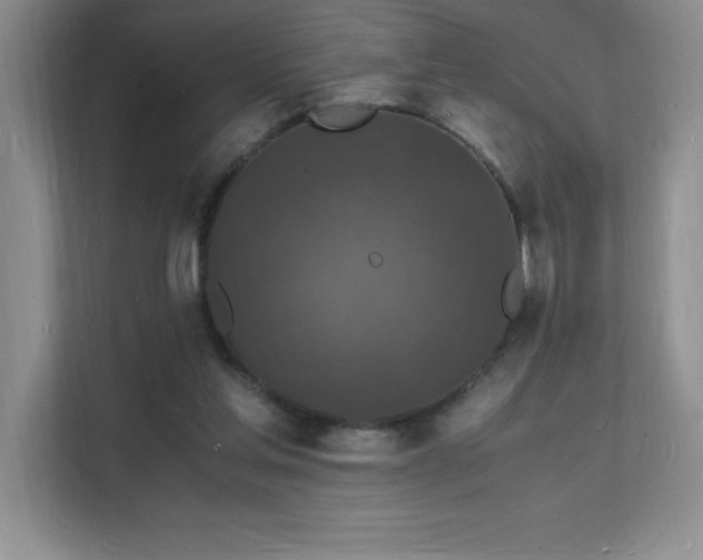X0000112150205200908071122