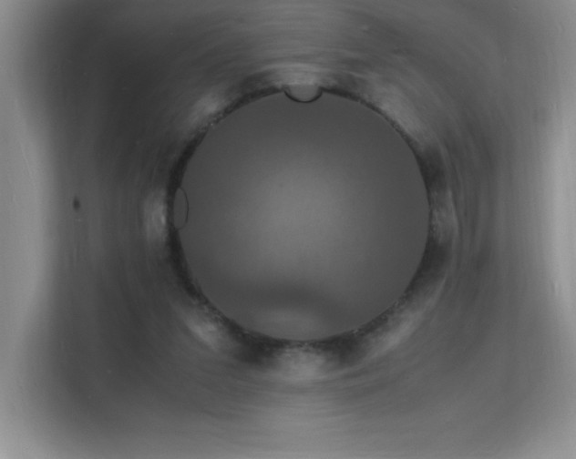 X0000112150207200908071122
