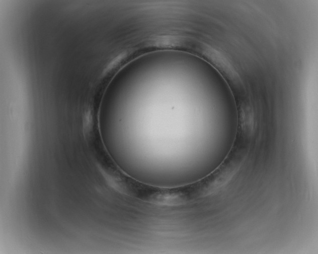 X0000112150208200908071122
