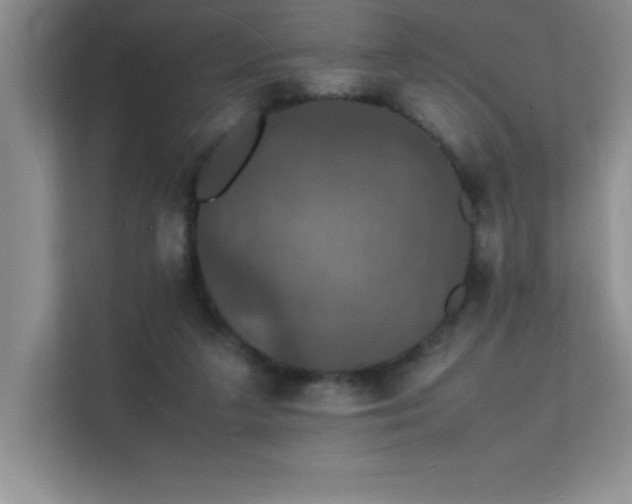 X0000112150211200908071122