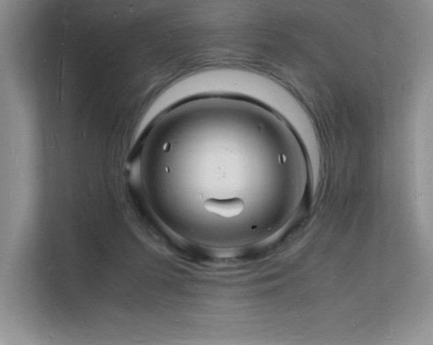 X0000112150215200908071122