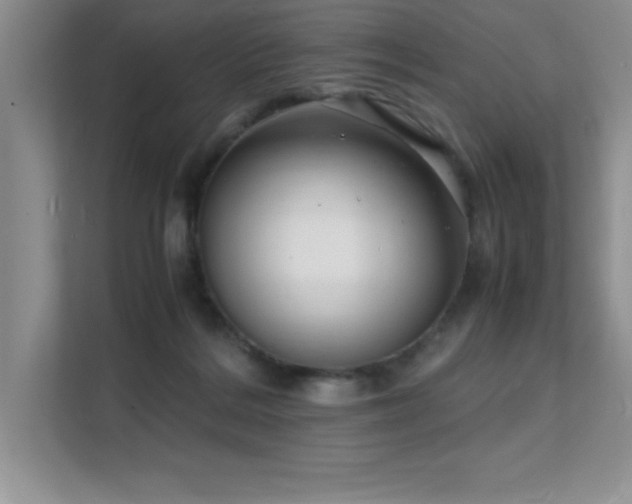 X0000112150220200908071122