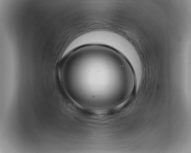 X0000112150221200908071122