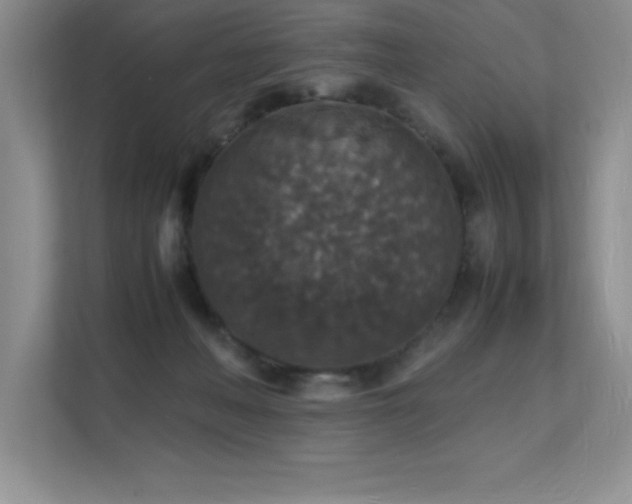 X0000112150222200908071122
