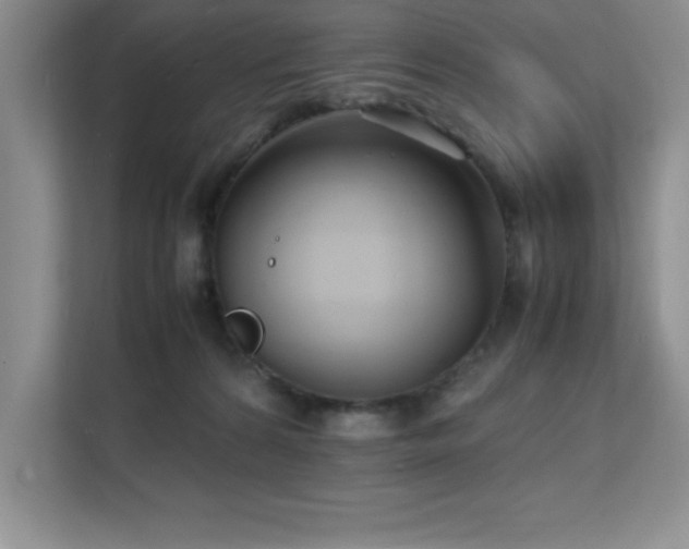 X0000112150224200908071122