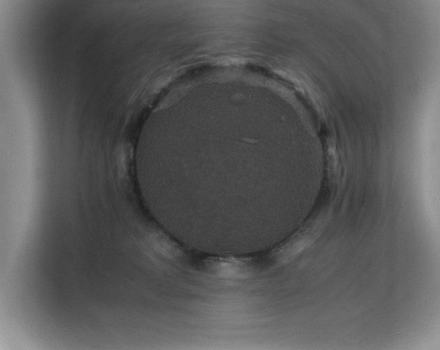 X0000112150229200908071122