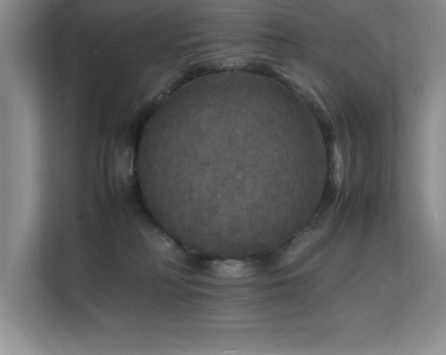 X0000112150230200908071122