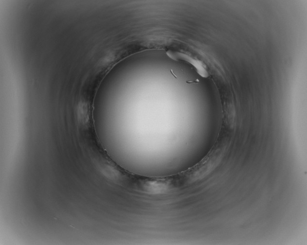 X0000112150232200908071122