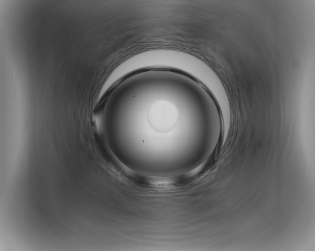 X0000112150233200908071122