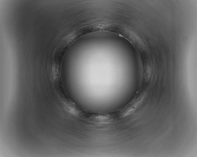 X0000112150236200908071122
