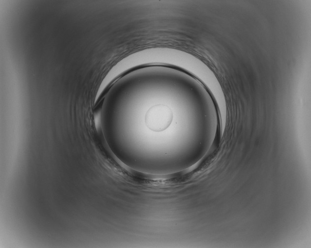 X0000112150237200908071122