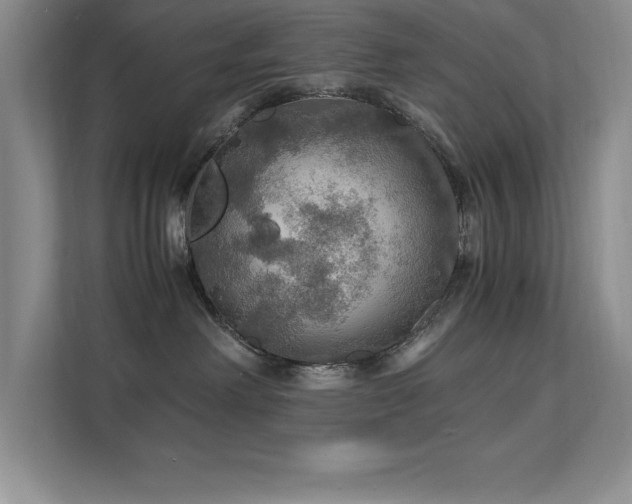X0000112150238200908071122