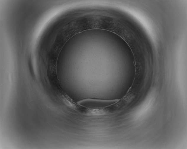X0000112150239200908071122