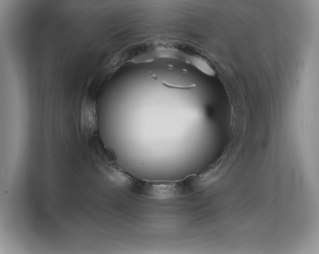 X0000112150240200908071122