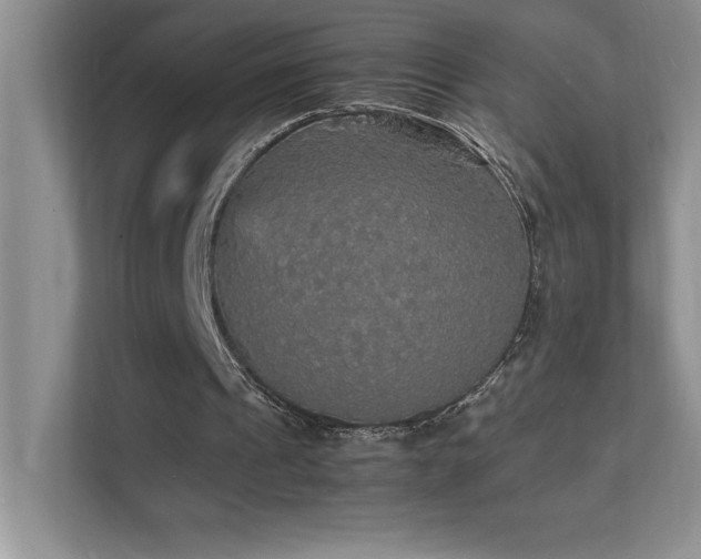 X0000112150241200908071121