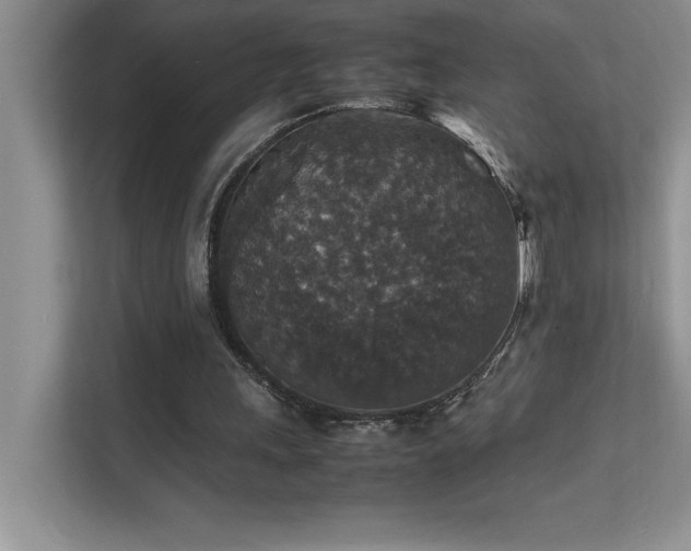 X0000112150243200908071121