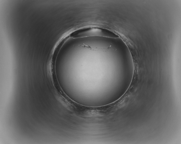 X0000112150244200908071121