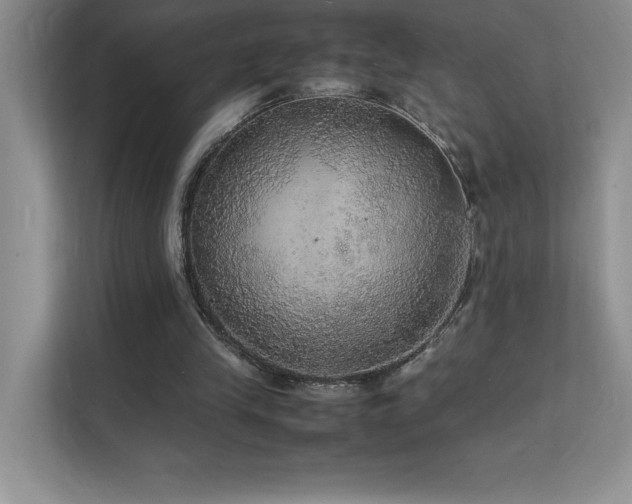 X0000112150245200908071121
