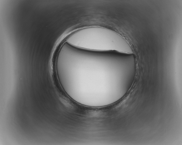 X0000112150246200908071121