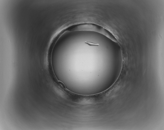 X0000112150248200908071121