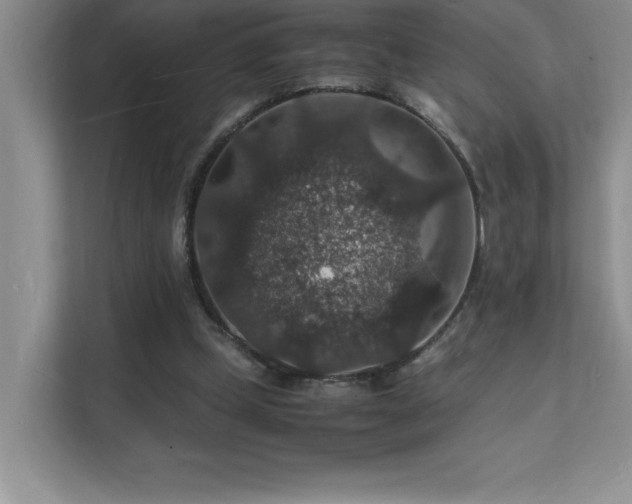 X0000112150249200908071121