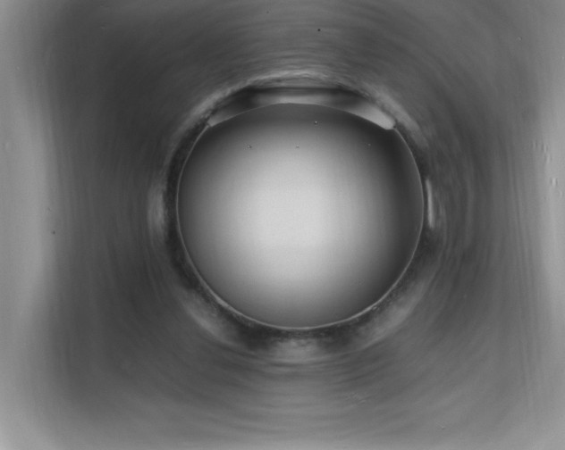 X0000112150252200908071122