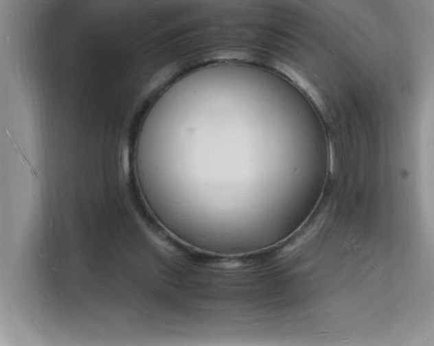 X0000112150253200908071122