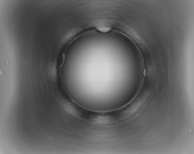 X0000112150256200908071122