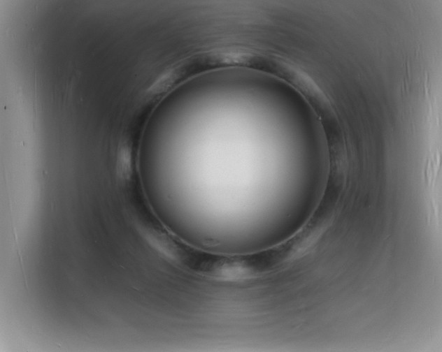 X0000112150262200908071122