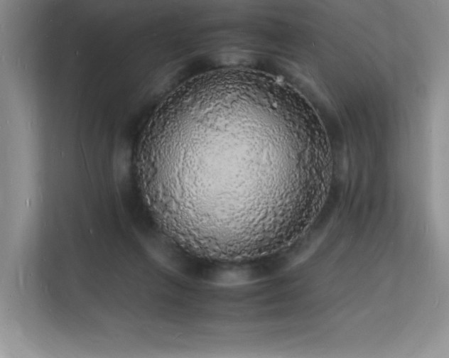 X0000112150263200908071122