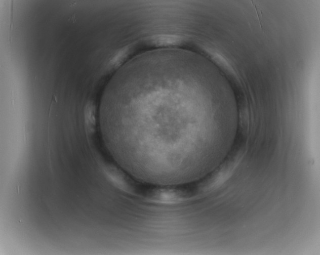 X0000112150264200908071122