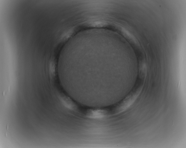 X0000112150268200908071122