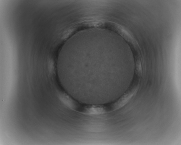X0000112150270200908071122