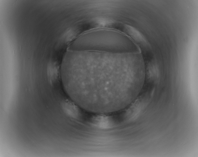 X0000112150276200908071122
